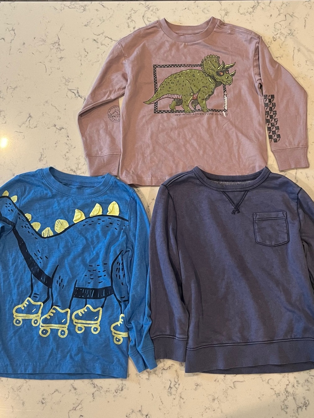 Kids Long Sleeve Dinosaur Graphic Tee - Purple